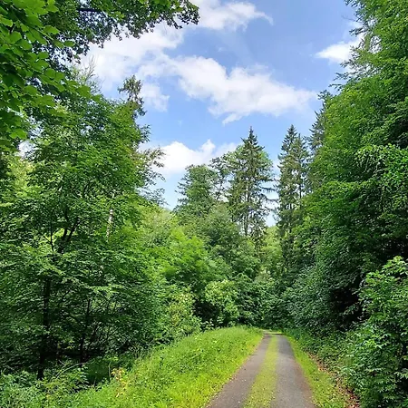 Wanderfalke By Interhome Apartment