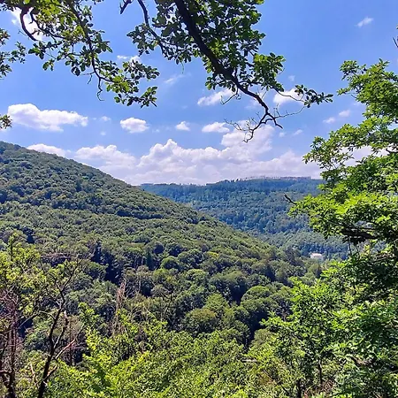 Apartment Wanderfalke By Interhome *