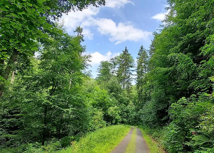 Wanderfalke By Interhome Apartmán