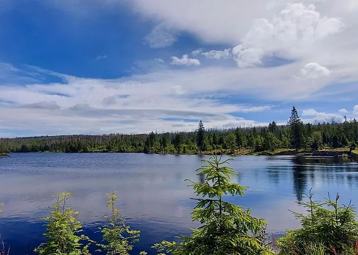 Wanderfalke By Interhome Apartment