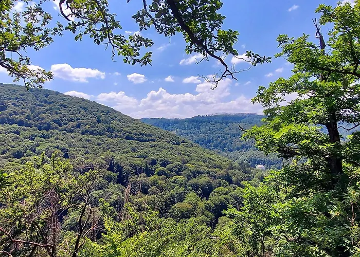 Apartment Wanderfalke By Interhome *